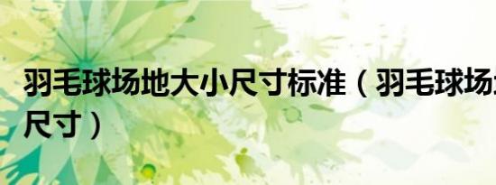 羽毛球场地大小尺寸标准（羽毛球场地的标准尺寸）