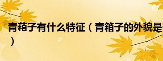 青葙子有什么特征（青箱子的外貌是什么样的）