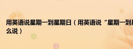 用英语说星期一到星期日（用英语说“星期一到星期日”怎么说）