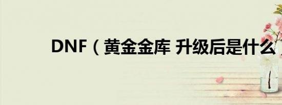 DNF（黄金金库 升级后是什么）