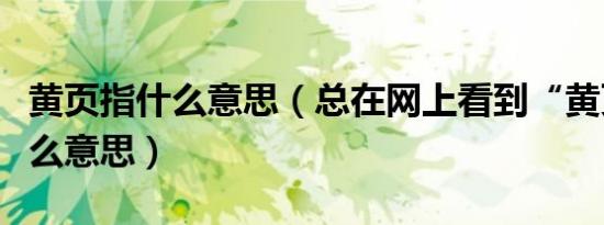 黄页指什么意思（总在网上看到“黄页”是什么意思）