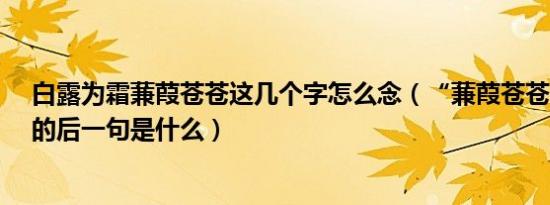 白露为霜蒹葭苍苍这几个字怎么念（“蒹葭苍苍白露为霜”的后一句是什么）