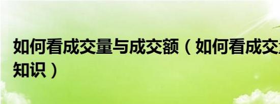 如何看成交量与成交额（如何看成交量成交量知识）