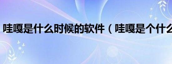 哇嘎是什么时候的软件（哇嘎是个什么软件）