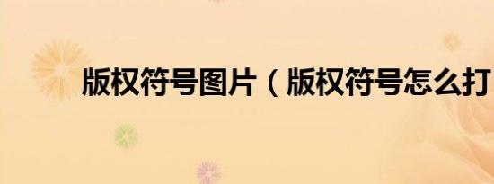 版权符号图片（版权符号怎么打）