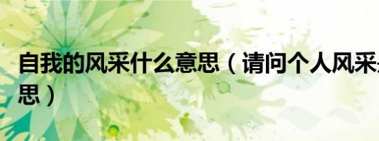 自我的风采什么意思（请问个人风采是什么意思）