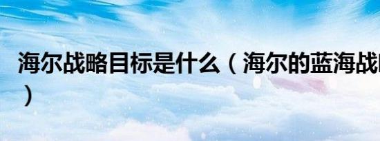 海尔战略目标是什么（海尔的蓝海战略是什么）
