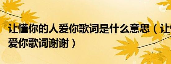 让懂你的人爱你歌词是什么意思（让懂你的人爱你歌词谢谢）