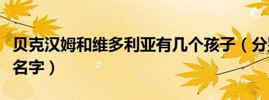 贝克汉姆和维多利亚有几个孩子（分别叫什么名字）