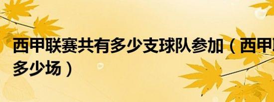 西甲联赛共有多少支球队参加（西甲联赛共有多少场）