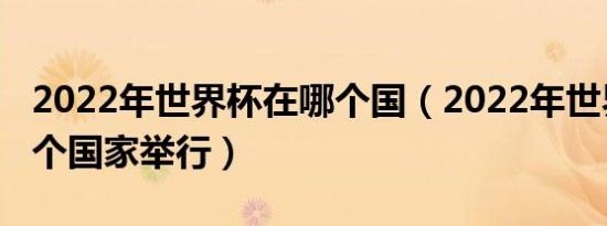 2022年世界杯在哪个国（2022年世界杯在哪个国家举行）