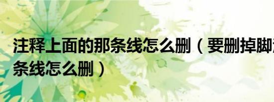 注释上面的那条线怎么删（要删掉脚注上的那条线怎么删）