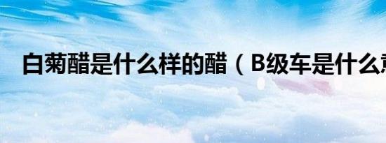 白菊醋是什么样的醋（B级车是什么意思）
