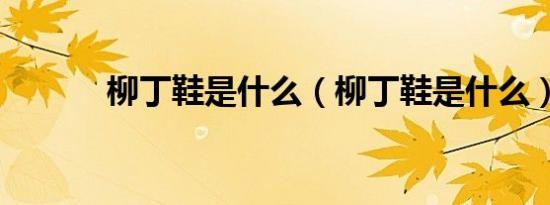 柳丁鞋是什么（柳丁鞋是什么）