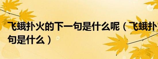 飞蛾扑火的下一句是什么呢（飞蛾扑火的下一句是什么）