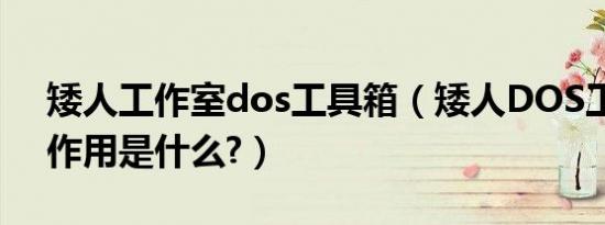 矮人工作室dos工具箱（矮人DOS工具箱的作用是什么?）