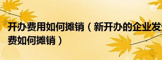 开办费用如何摊销（新开办的企业发生的开办费如何摊销）