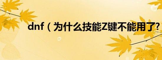 dnf（为什么技能Z键不能用了?）