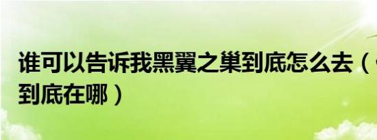 谁可以告诉我黑翼之巢到底怎么去（他的大门到底在哪）