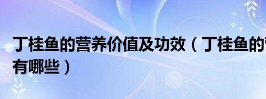 丁桂鱼的营养价值及功效（丁桂鱼的营养价值有哪些）