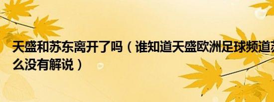 天盛和苏东离开了吗（谁知道天盛欧洲足球频道苏东今天怎么没有解说）