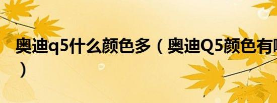 奥迪q5什么颜色多（奥迪Q5颜色有哪些颜色）