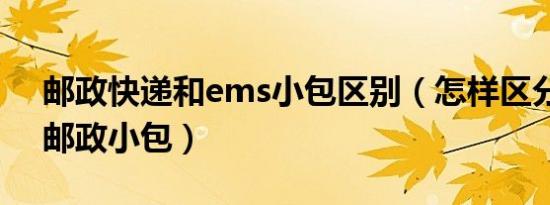 邮政快递和ems小包区别（怎样区分ems和邮政小包）