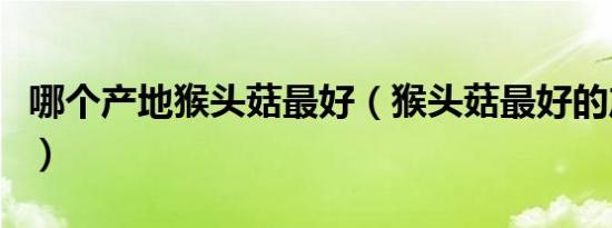 哪个产地猴头菇最好（猴头菇最好的产地在哪）