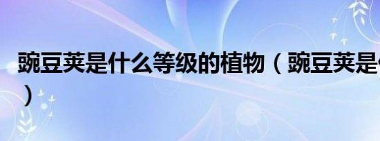 豌豆荚是什么等级的植物（豌豆荚是什么软件）