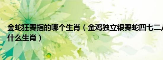 金蛇狂舞指的哪个生肖（金鸡独立银舞蛇四七二八开大数是什么生肖）