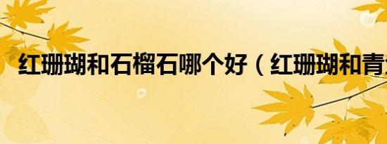 红珊瑚和石榴石哪个好（红珊瑚和青金石）