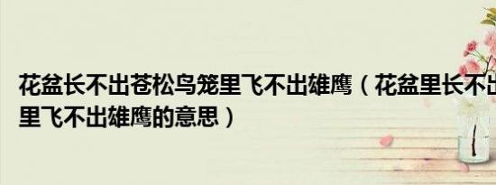 花盆长不出苍松鸟笼里飞不出雄鹰（花盆里长不出苍松,鸟笼里飞不出雄鹰的意思）
