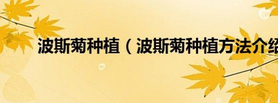 波斯菊种植（波斯菊种植方法介绍）