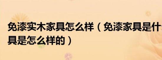 免漆实木家具怎么样（免漆家具是什么免漆家具是怎么样的）