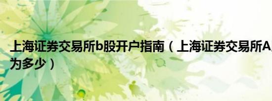 上海证券交易所b股开户指南（上海证券交易所A股过户费用为多少）