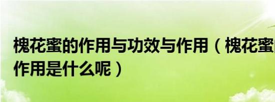 槐花蜜的作用与功效与作用（槐花蜜的功效与作用是什么呢）