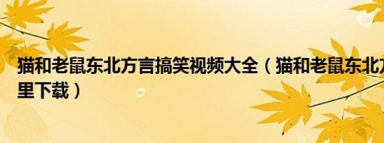 猫和老鼠东北方言搞笑视频大全（猫和老鼠东北方言版在那里下载）