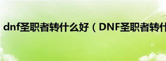 dnf圣职者转什么好（DNF圣职者转什么好）