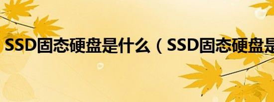 SSD固态硬盘是什么（SSD固态硬盘是什么）
