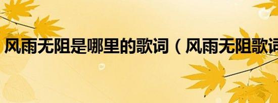 风雨无阻是哪里的歌词（风雨无阻歌词介绍）