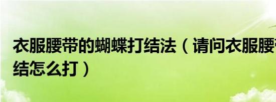 衣服腰带的蝴蝶打结法（请问衣服腰带的蝴蝶结怎么打）
