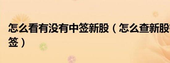 怎么看有没有中签新股（怎么查新股有没有中签）