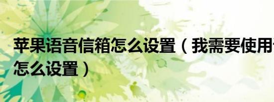 苹果语音信箱怎么设置（我需要使用语音信箱怎么设置）