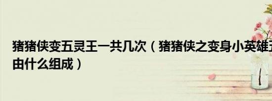 猪猪侠变五灵王一共几次（猪猪侠之变身小英雄五灵王分别由什么组成）