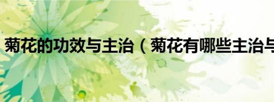 菊花的功效与主治（菊花有哪些主治与功效）