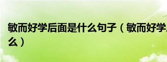 敏而好学后面是什么句子（敏而好学后面是什么）