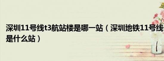深圳11号线t3航站楼是哪一站（深圳地铁11号线去t3航站楼是什么站）