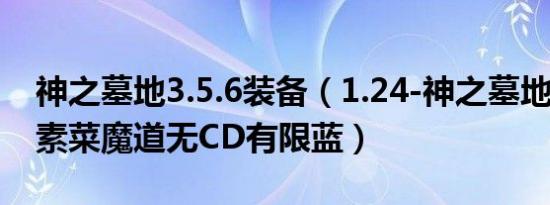 神之墓地3.5.6装备（1.24-神之墓地2.6C-【素菜魔道无CD有限蓝）