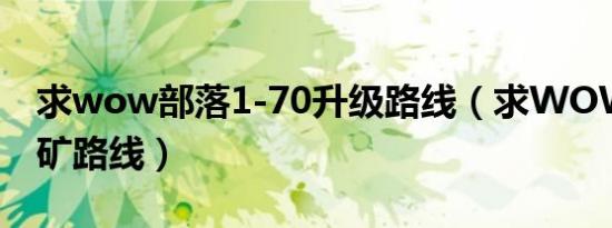 求wow部落1-70升级路线（求WOW外域采矿路线）