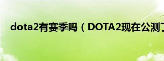 dota2有赛季吗（DOTA2现在公测了吗）